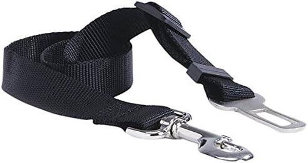 Veiligheids riem S voor in de auto 55 cm