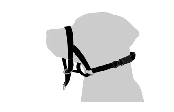 Easy Leader M 5400274721772