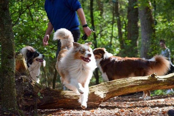 PuberCursus start zaterdag 01-11-'25 om 11:15 uur