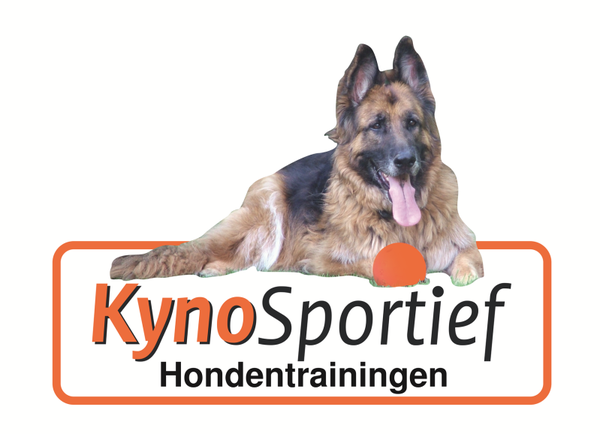 Dinsdag om 15:00 uur PuppyCursus (Instroom) / 6 lessen