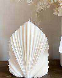 Natural Shell Curve Candle