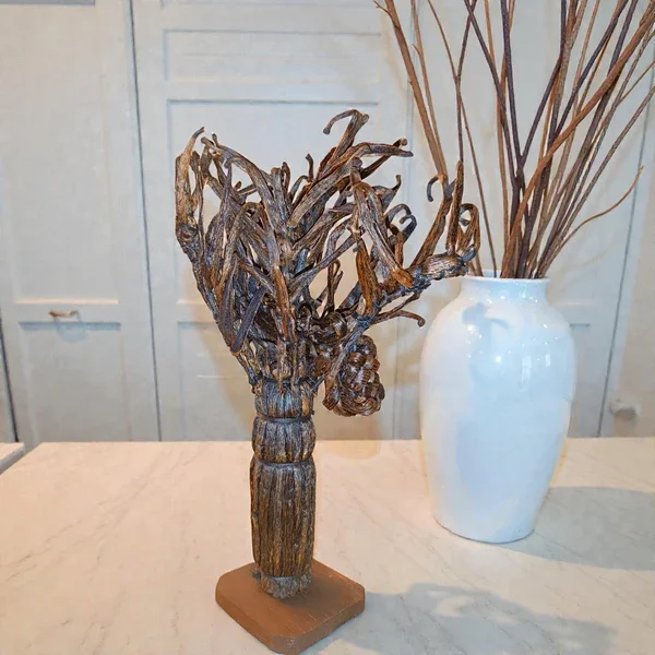 Nos vanilles tressées