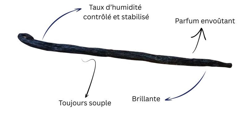 Reconnaître une gousse de vanille bourbon de Madagascar affinée - toujours souple, brillante, au parfum envoûtant et avec un taux d'humidité contrôlé et stabilisé
