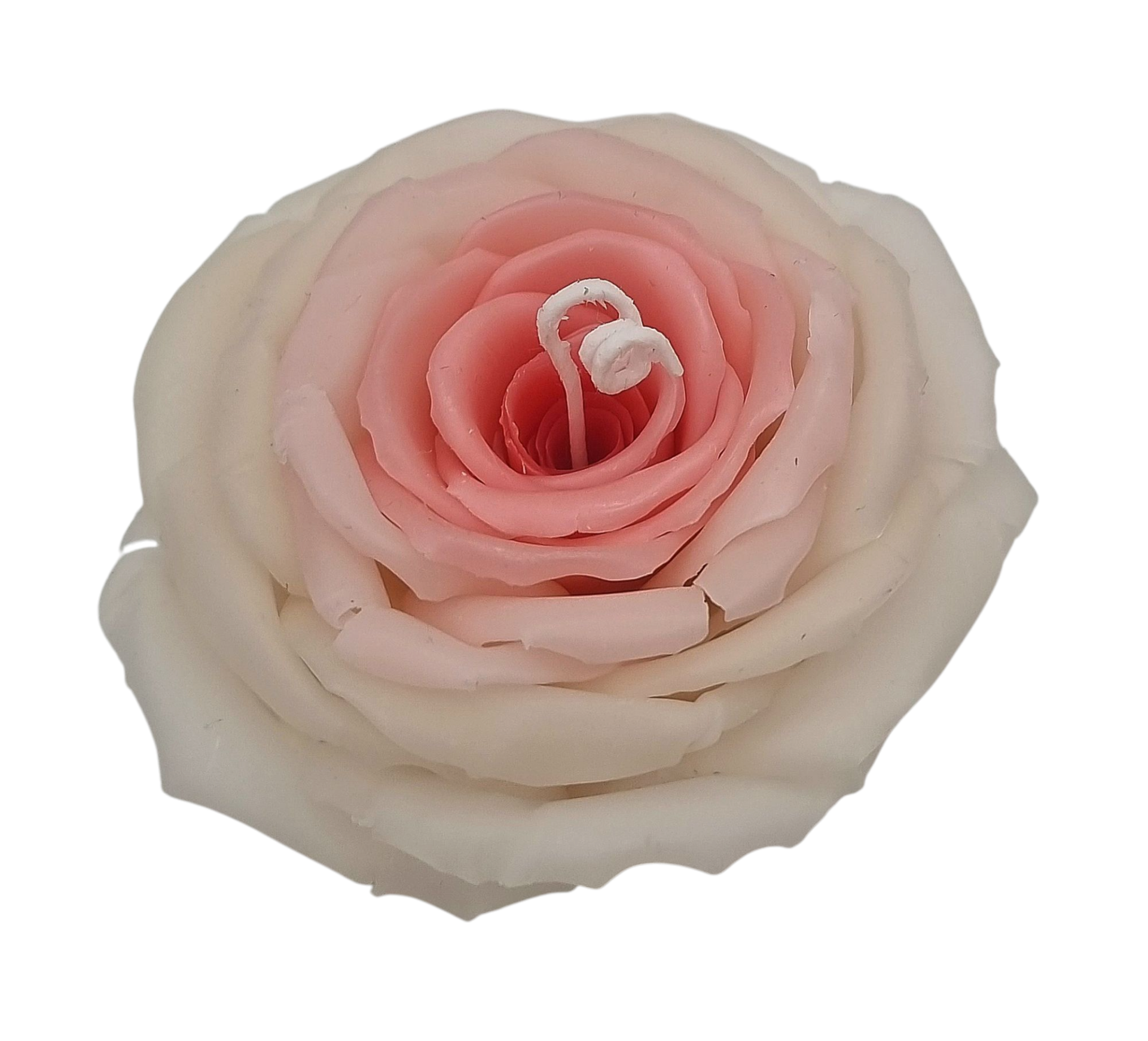 Flower Candle Rose #14