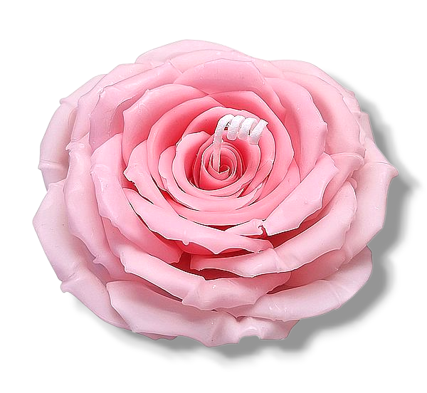 Flower Candle Rose #7