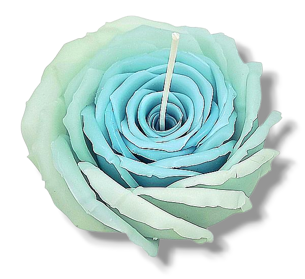 Flower Candle Rose #21