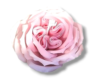 Flower Candle Rose #6