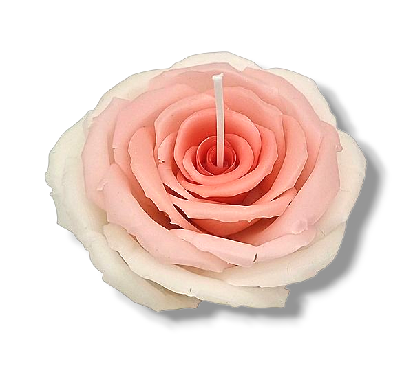 Flower Candle Rose #8