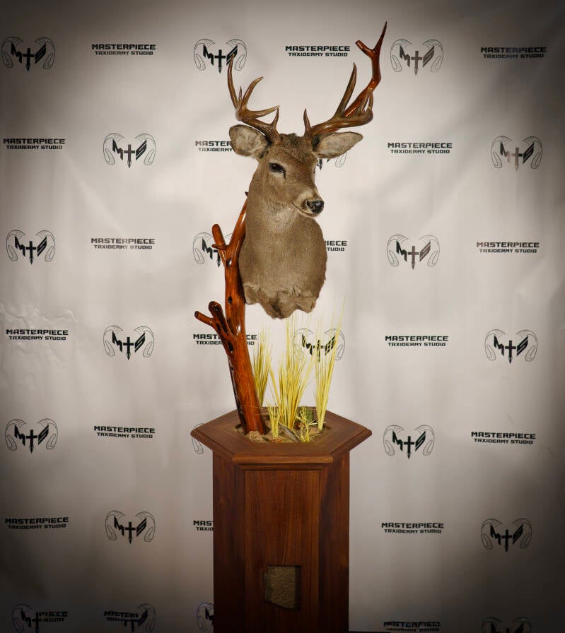 coues-deer-1-standard.jpg