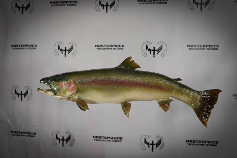 fish-standard.jpg
