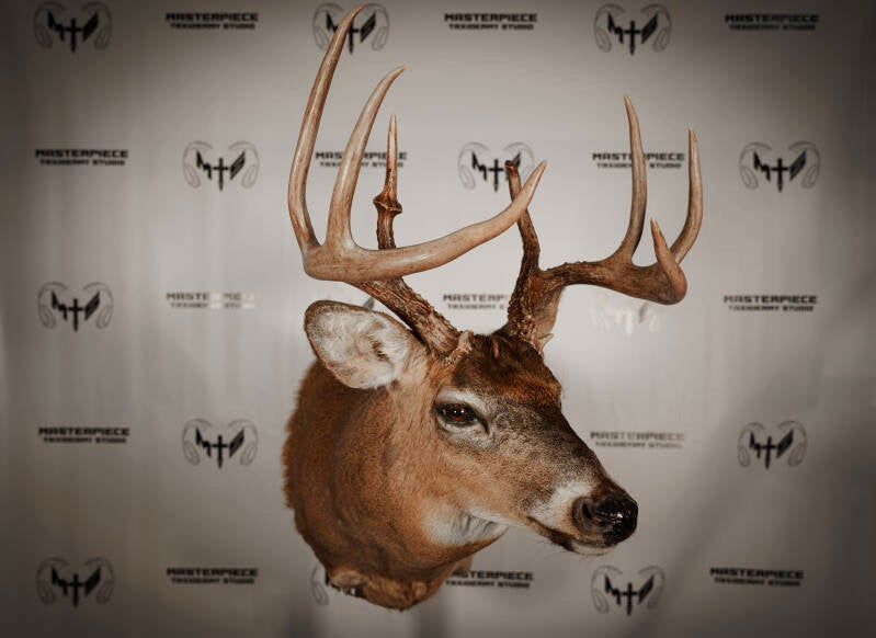 full-sneak-whitetail-1-standard.jpg