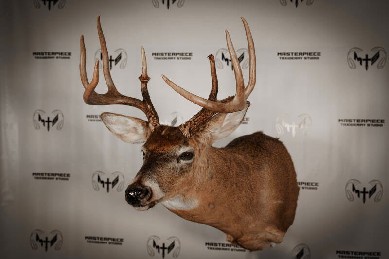 full-sneak-whitetail-2-standard.jpg