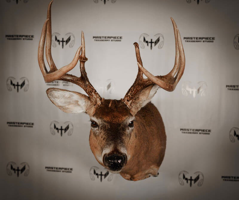 full-sneak-whitetail-3-standard.jpg