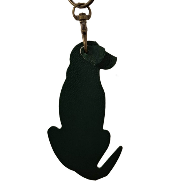 Labrador groen