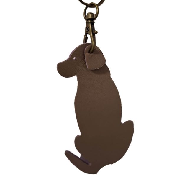 Labrador grijs