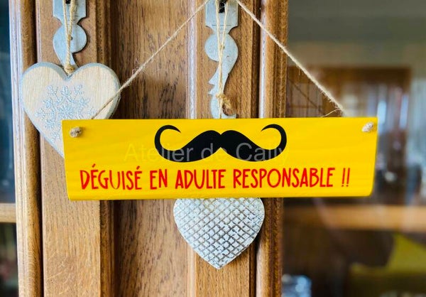 Déguisé en adulte responsable