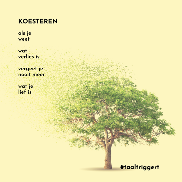 Set 11 - vijf fotokaarten