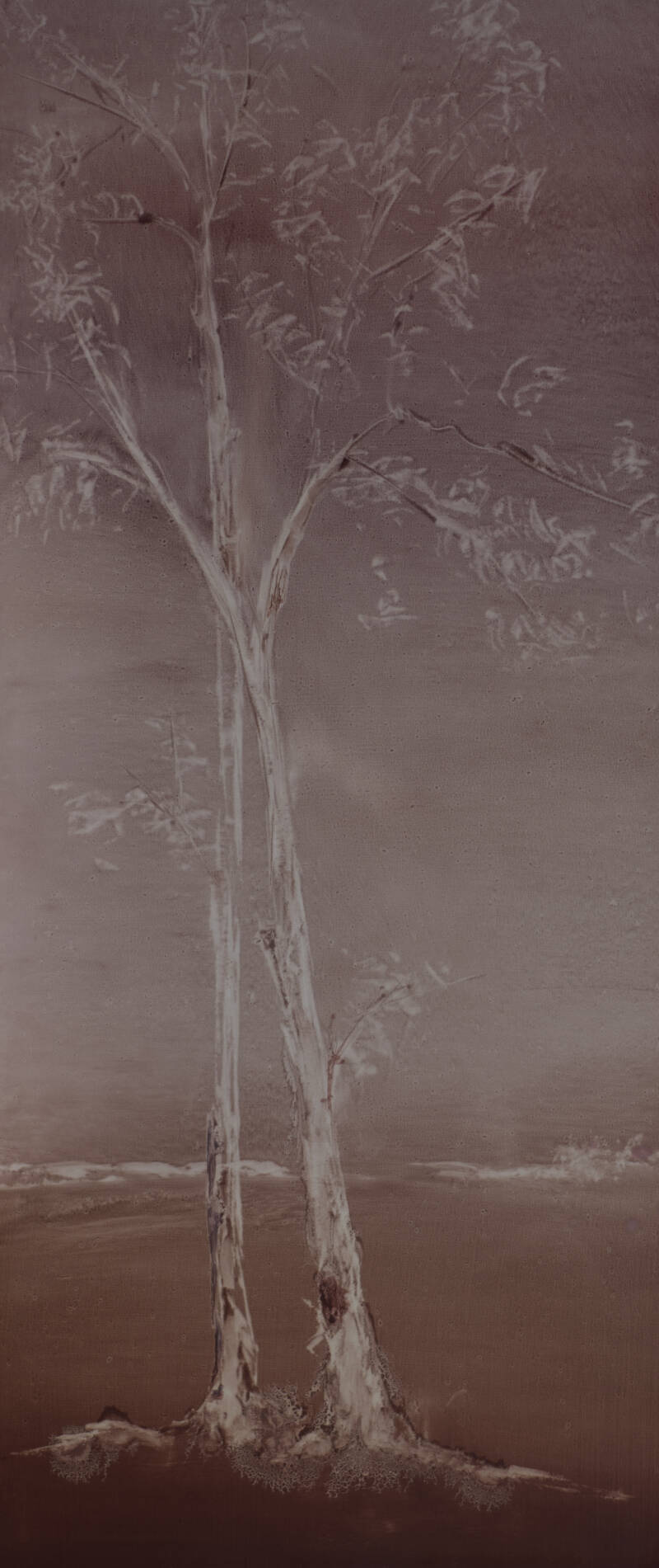 dsc_4300-standard-ob7ne8.jpg