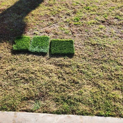 20230331_091922-standard.jpg