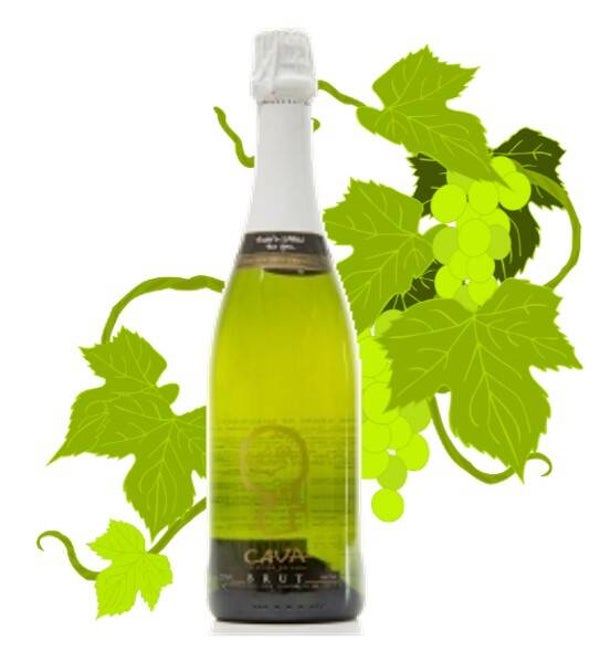 Fles Cava Sussuro Brut