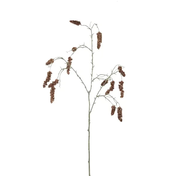 Tak  | TWIG PLANT BROWN CATTAIL | 100 cm