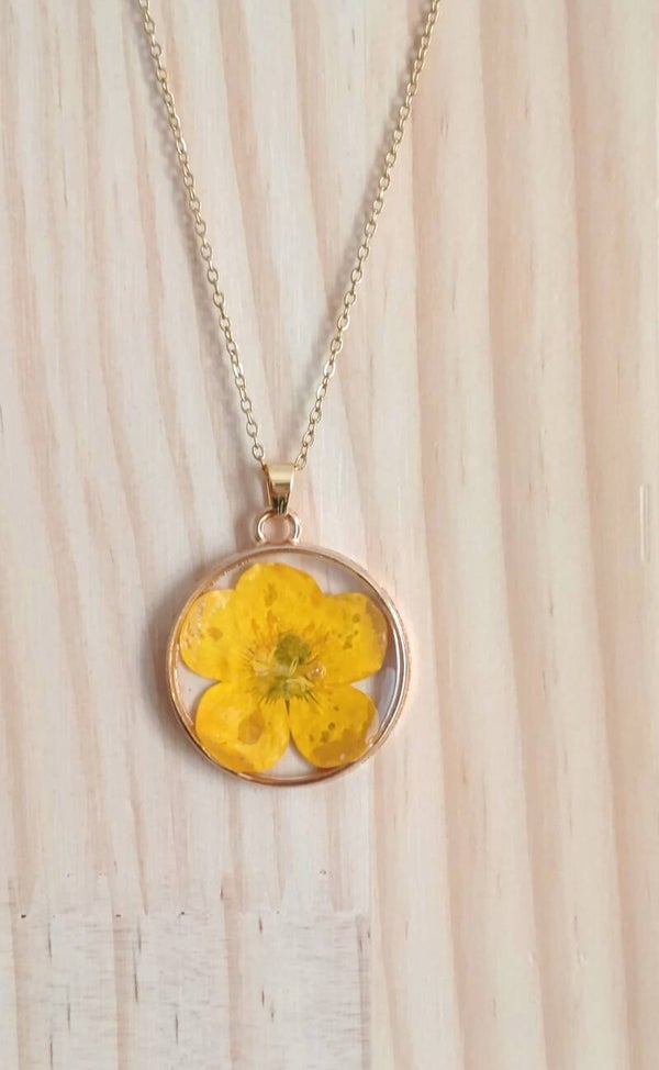 🌼bouton d'or 🌼