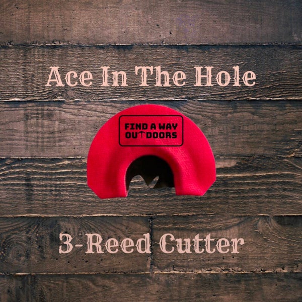 Ace In The Hole