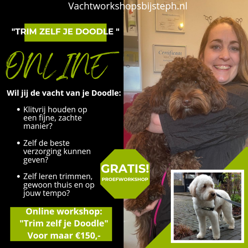 Video’s om zelf je Labradoodle Cockapoo  Bernerdoodle  Maltipoo Australian Labradoodle Australian Cobberdog of andere Doodle te trimmen. Proffecionele workshop op video in stap voor stap workshop video's met duidelijke uitleg zodat jij thuis in de vertrou