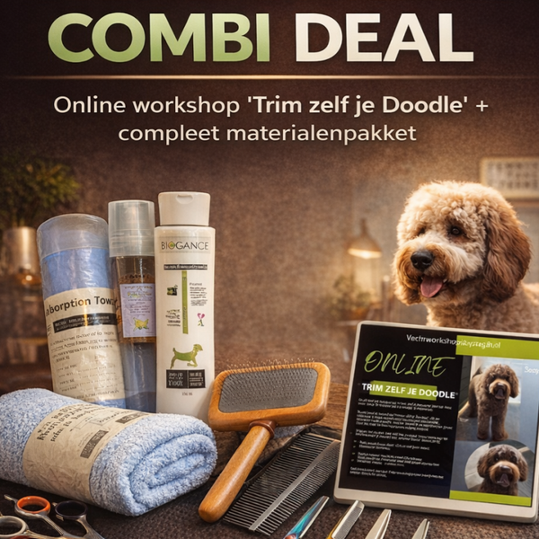 Workshop pakket + online workshop: "trim zelf je Doodle"