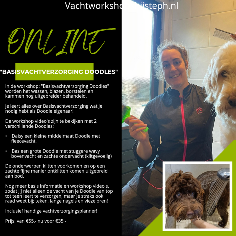 Online workshop Basisvachtverzorging Doodles nu van €55 voor €35. Voor als jij je Doodle thuis de beste vachtverzorging wil geven tussen de trimbeurten in. Wassen Waterblazer Borstelen Kammen Nagels knippen klitten en vervilting voorkomen. Deze online wor