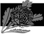 Wildflower Industry Network NSW Inc.