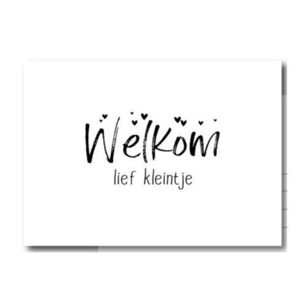 Ansichtkaart 'welkom lief kleintje'.