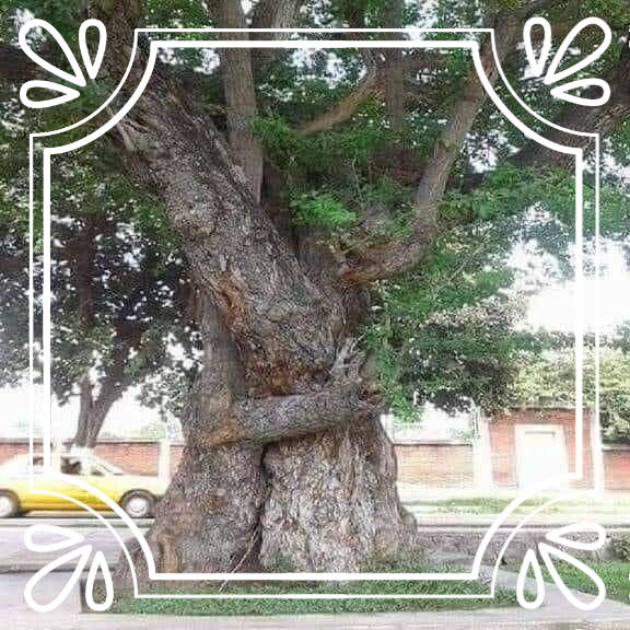 Suelto una batalla y agarro una victoria