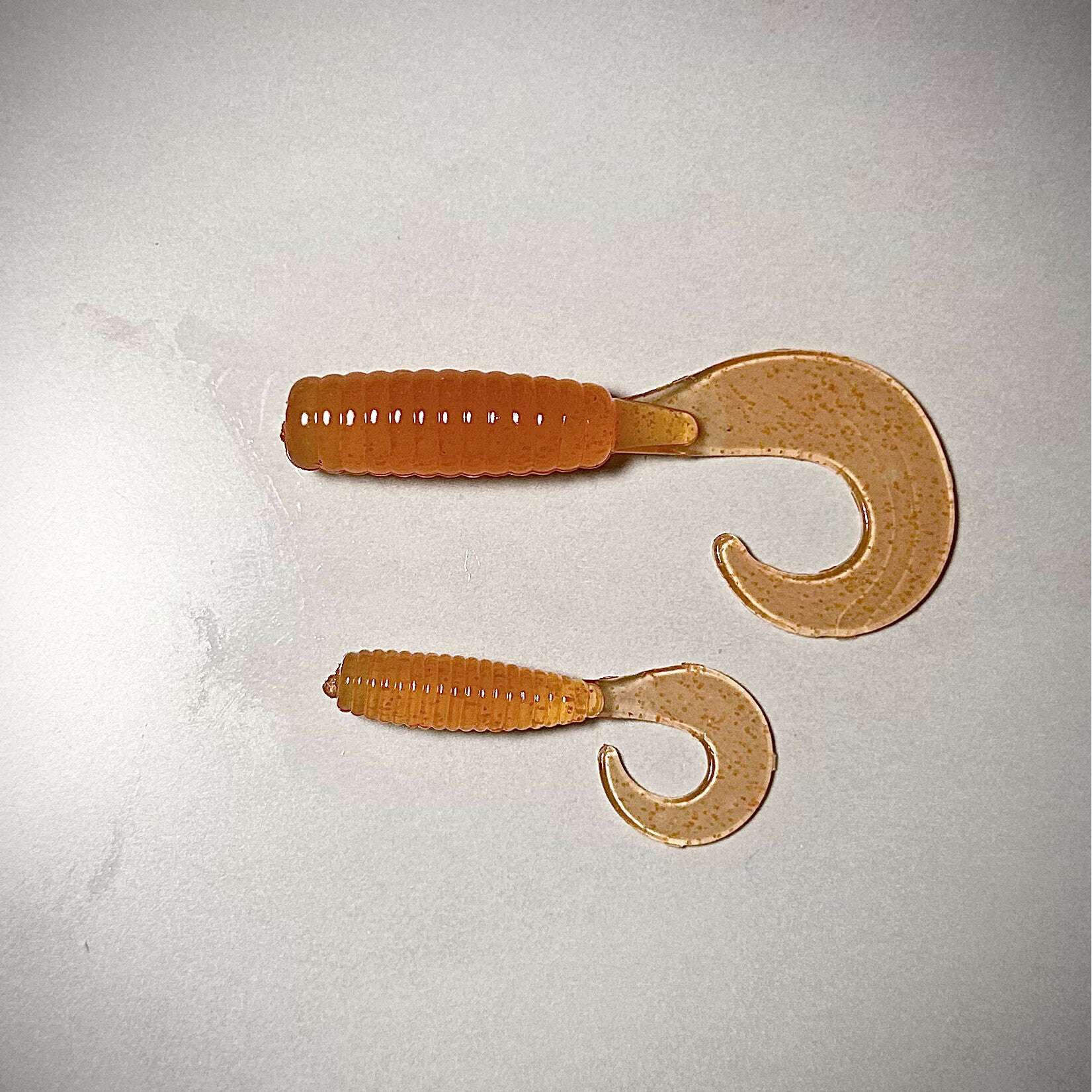 Orange Curly Tail Grubs