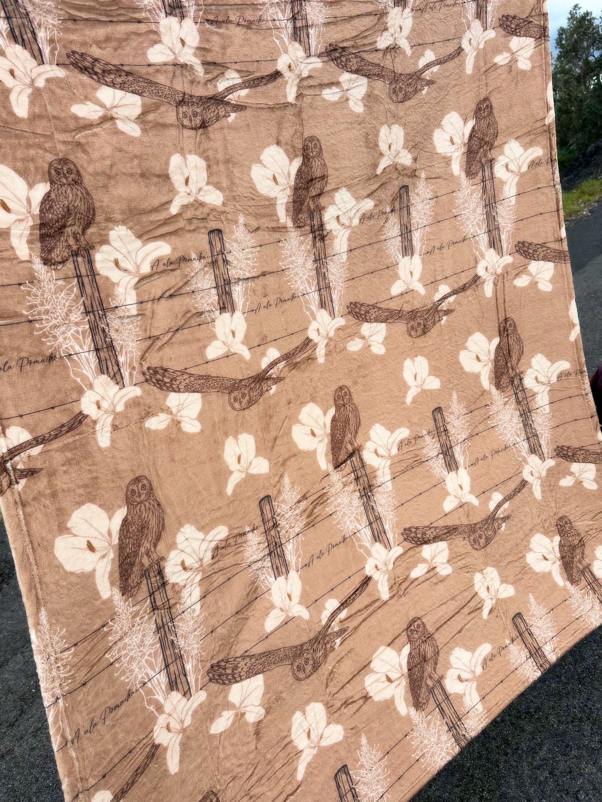 Wailama Collection Blankets in Pueo Print