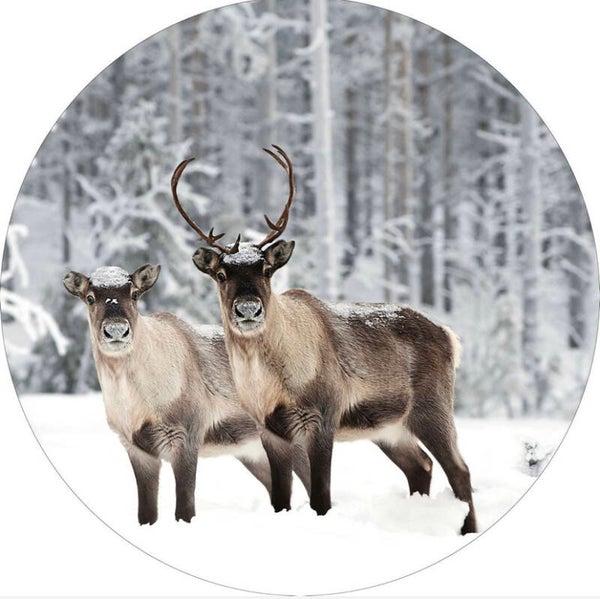 Glasschilderij Winter Ø40cm