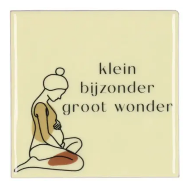 Tegeltje klein bijzonder groot wonder