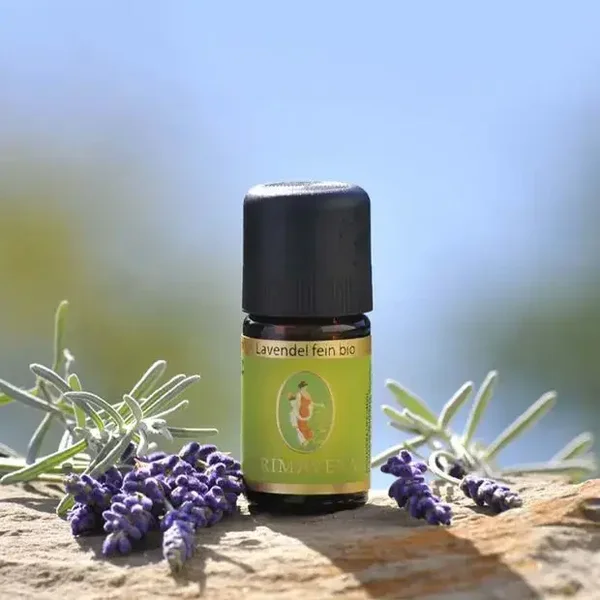 Lavendel fein bio - Lavandula angustifolia