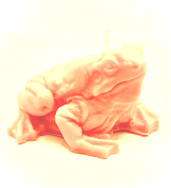 Champagne et roses - Rose Barbie - Le Prince Crapaud