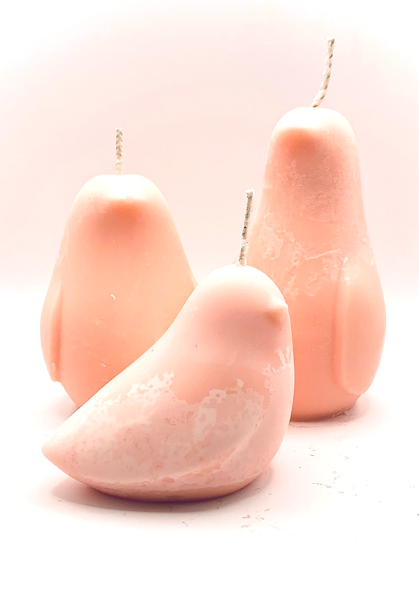 Aline - Mandarine - La Grande Famille Oiseaux