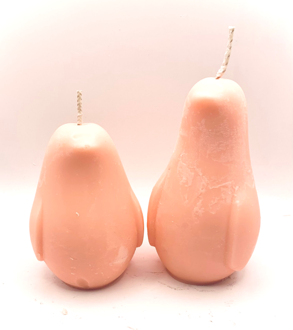 Aline - Mandarine - La Famille Oiseaux