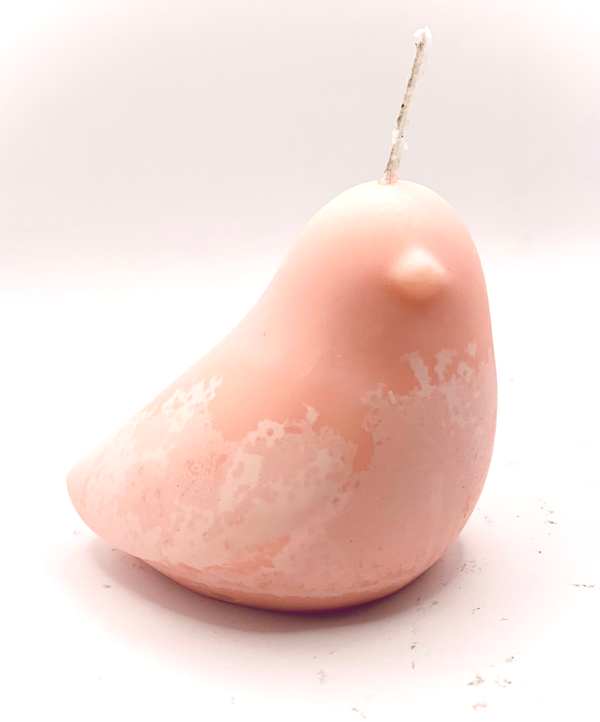 Aline - Mandarine - Petit oiseau