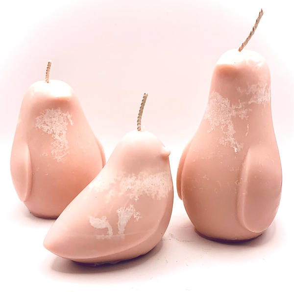 Lison - Lin Rose - La Grande Famille Oiseaux