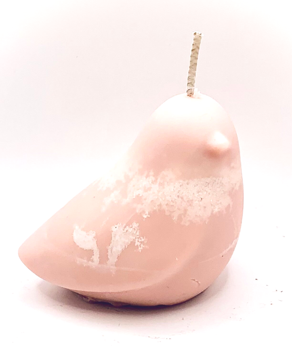 Lison - Lin Rose - Petit oiseau