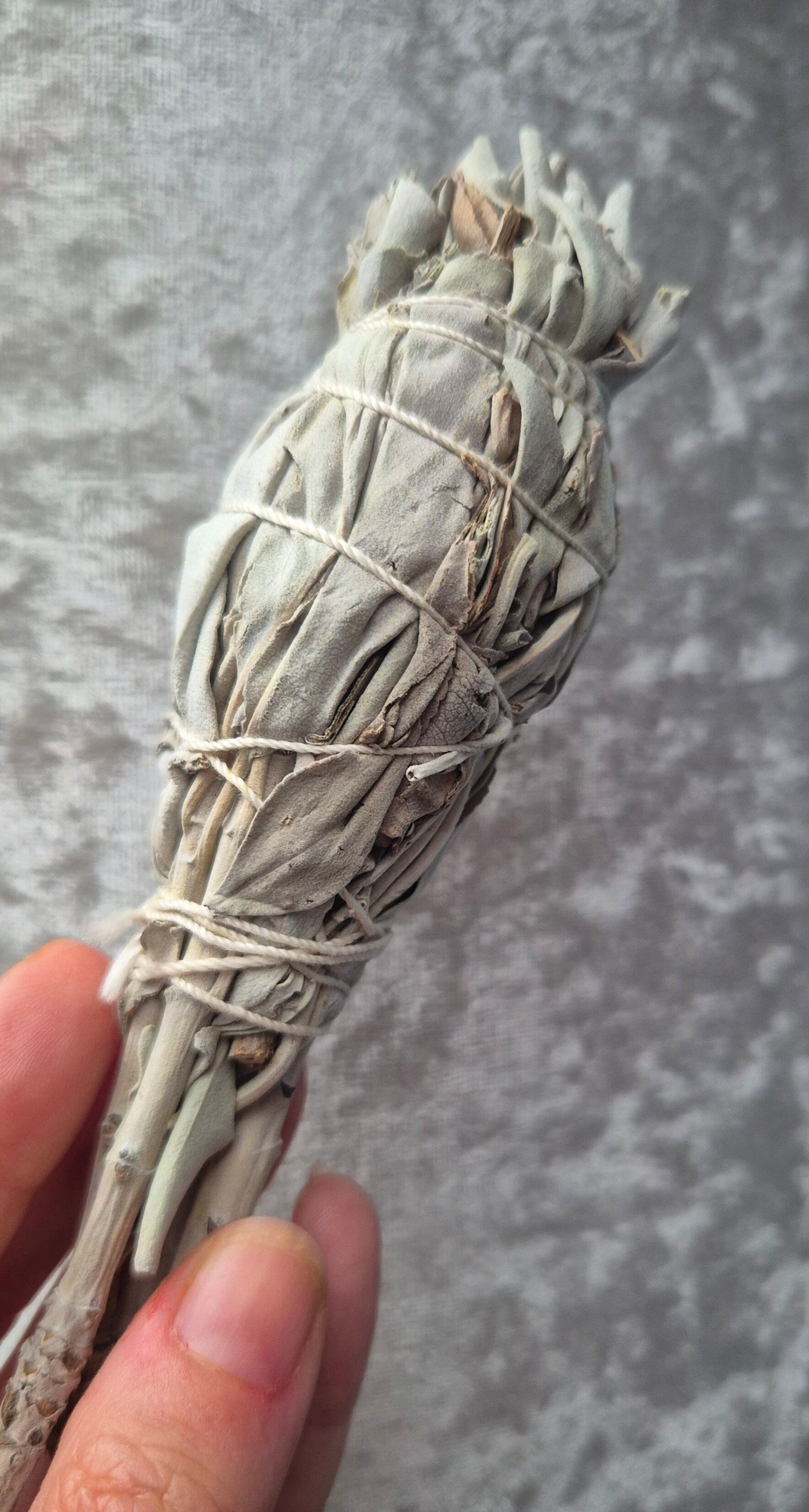 Sage smudge stick