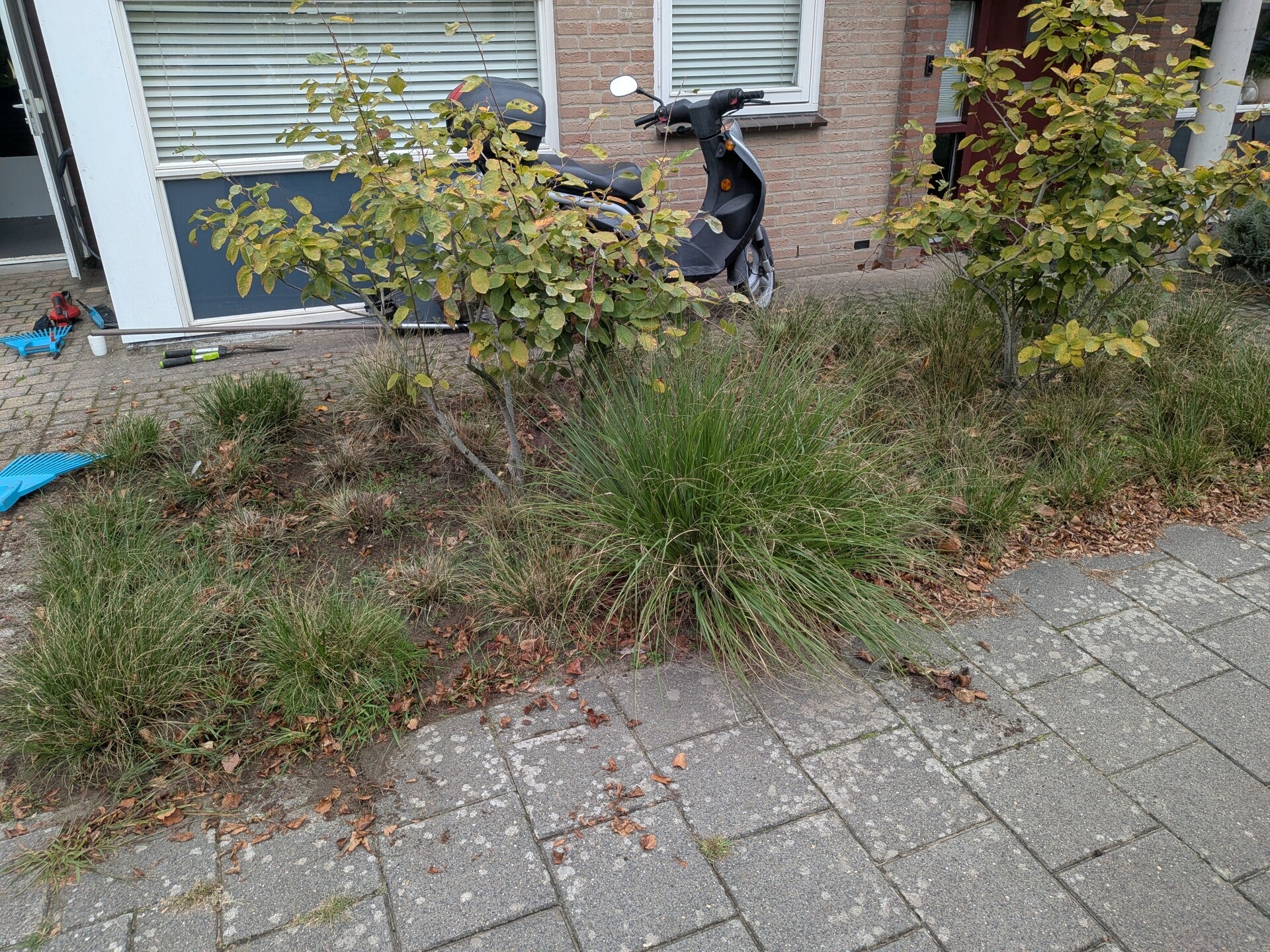 pxl_20260917_082225380-mp-standard.jpg