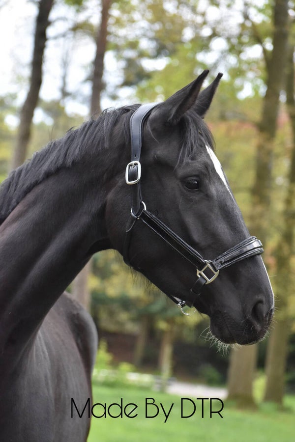 Leren halster Crystal