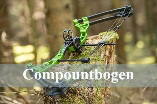 Der Compoundbogen