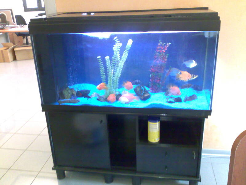 20092009024-copia-standard.jpg