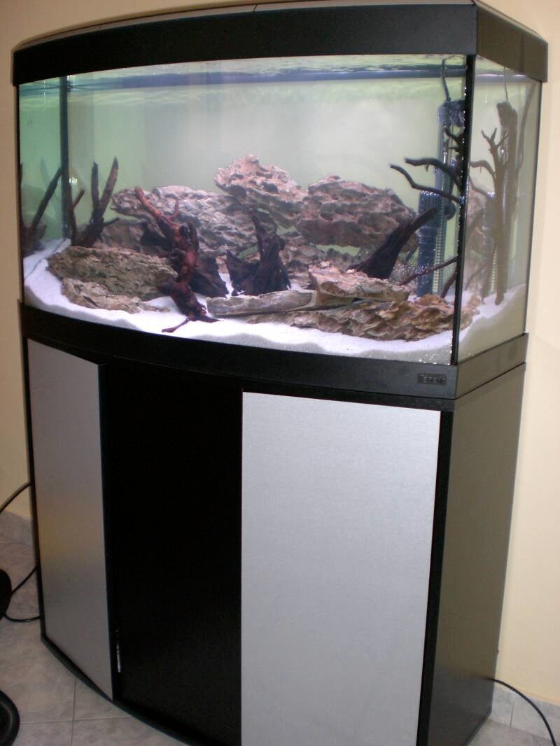 allestimento-1-standard.jpg